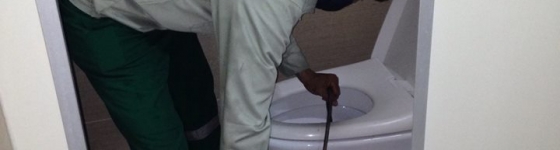 Thông Cống Nghẹt tại Đà Lạt Thông Cống Nghẹt tại Đà Lạt